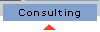 Consulting