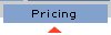 Pricing